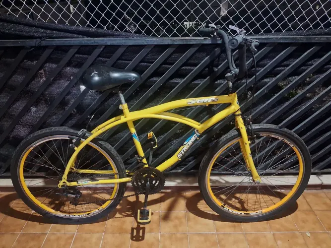 Bicicleta Praiana