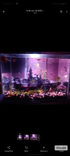 Aquário 200litros 
