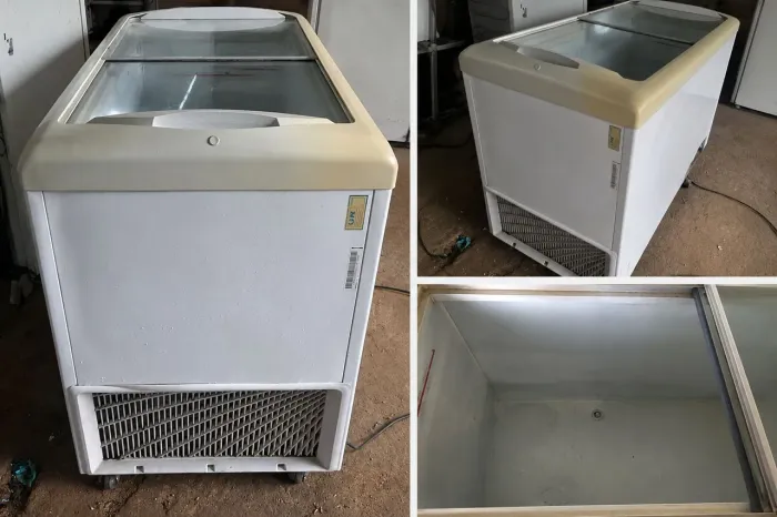 Freezer 220 v