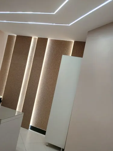 PINTOR DE OBRAS PROFISSIONAL