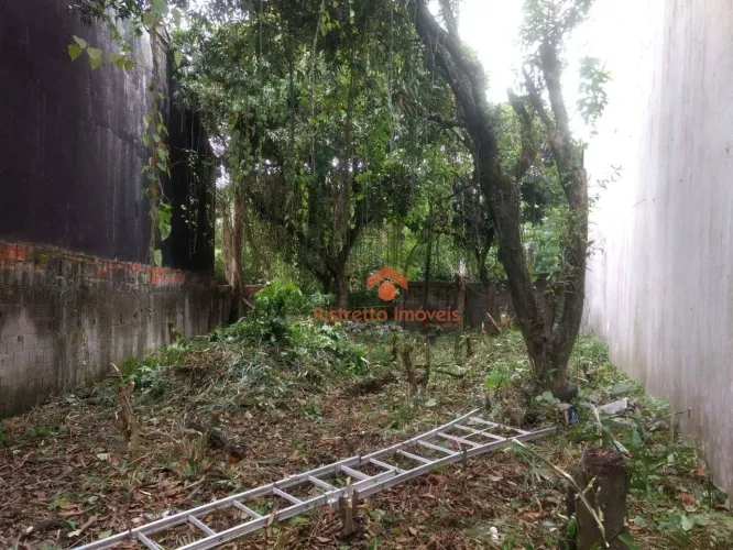 Terreno à venda, 257 m² por R$ 501.000,00 - Rolinópolis - São Paulo/SP