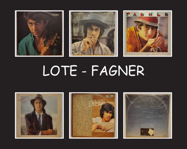 Lote 11 LPs Vinil Raimundo Fagner - Raridades e Clássicos (MPB)