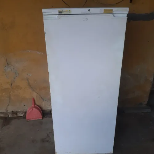 feeezer vertical brastemp