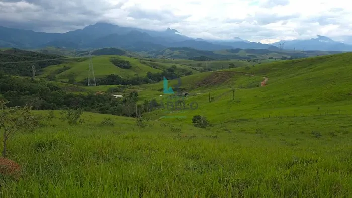 SÍTIO FORMADO EM PASTO DE BRAQUIÁRIA Á VENDA EM PIQUETE-SP