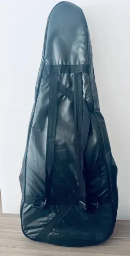 Ibanez elétrico ? Vintage Violin com case