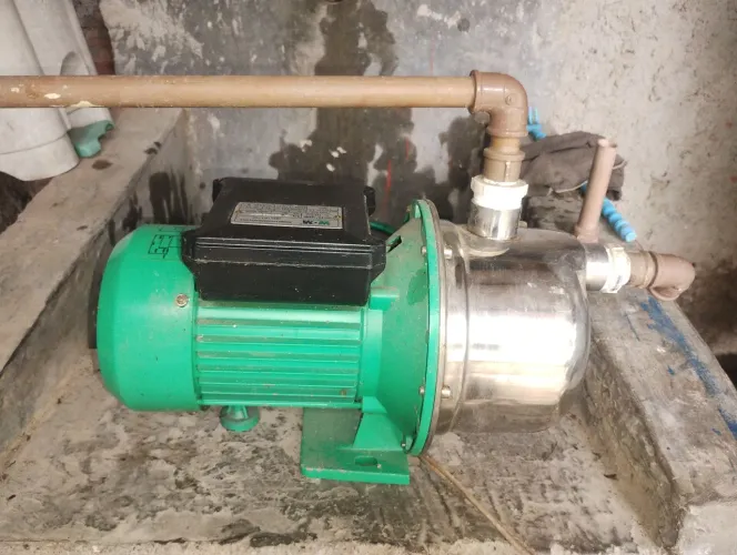 Bombando autoaspirante 1 cavalo