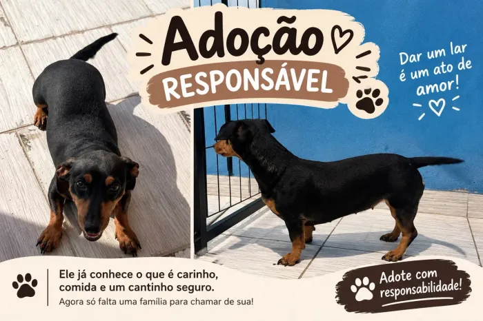 Adoção Responsável 