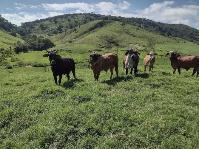 Fazenda com 1.936.000 m² e infraestrutura completa em Itamonte/MG.
