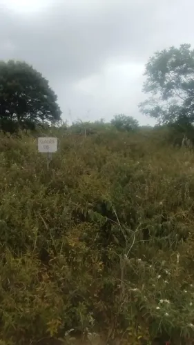 TERRENOS EM SÃO SEBASTIÃO