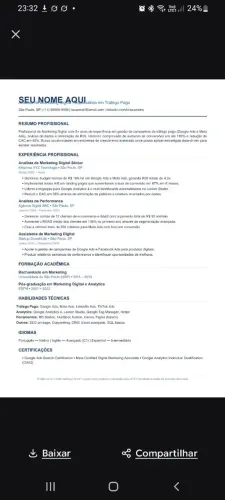 Currículo profissional digital em PDF modelo pronto 