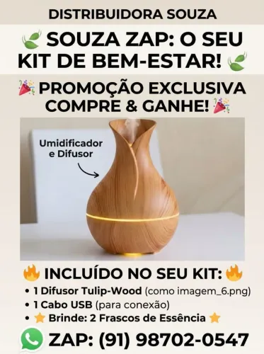 KIT DIFUSOR DE AROMA+ 2 VIDRINHOS ESSÊNCIA 