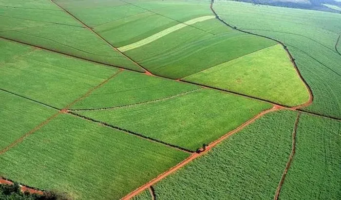 FAZENDA 83 ALQ. SANTA MARIA DA SERRA S.P.