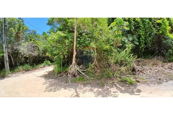 Terrenos à Venda em Arraial d'Ajuda  Próximo à Praia de Taípe, no PEDRA AZUL!