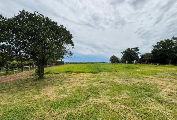 Terreno amplo para construir 