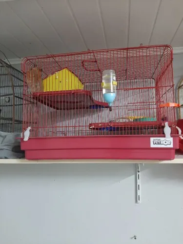 Hamster com gaiola 