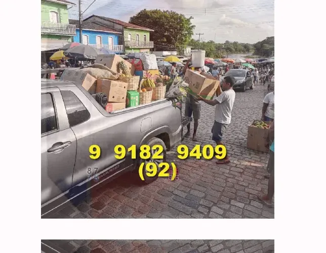 Frete! Transporte de cargas e mudanças para você! Peça já!