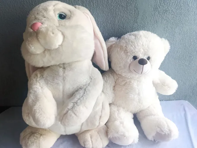 Urso pelúcia e Coelho