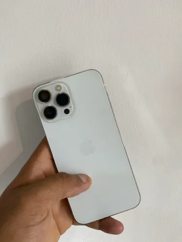 Ip 13 pro max