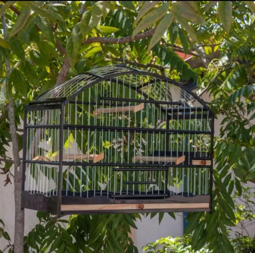 VENDO GAIOLAS DE FIBRA NOVAS CANÁRIO E TRINCA FERRO