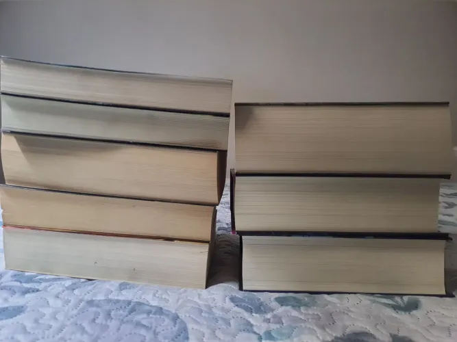 Lote livros Robert Jordan - Brandon Sanderson - Steven Erikson - George RR Martin