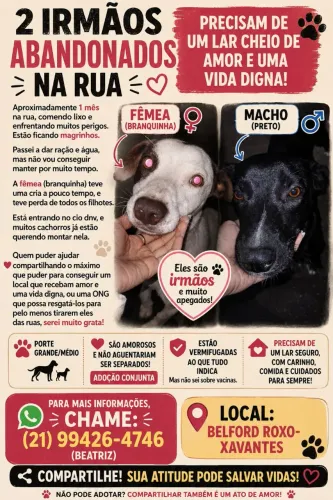 Irmãos, Adoção Conjunta! 