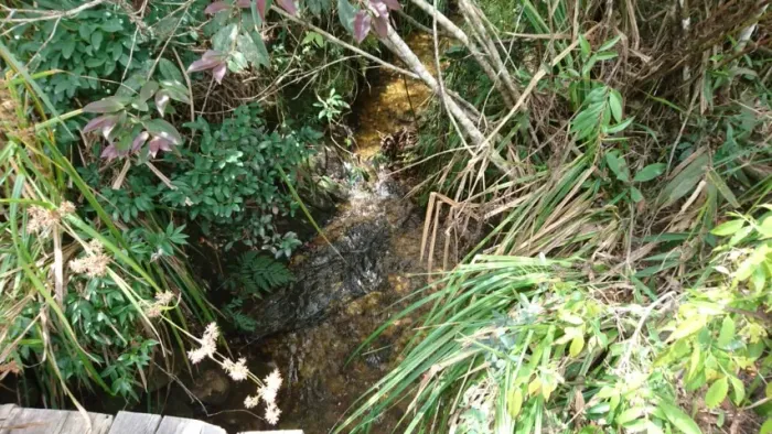 Terreno 13 ha, com casa, água por gravidade, nascente, Serra do Cipó.