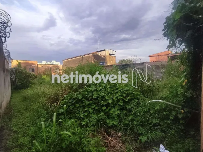 Venda Lote-Área-Terreno Santa Terezinha Belo Horizonte