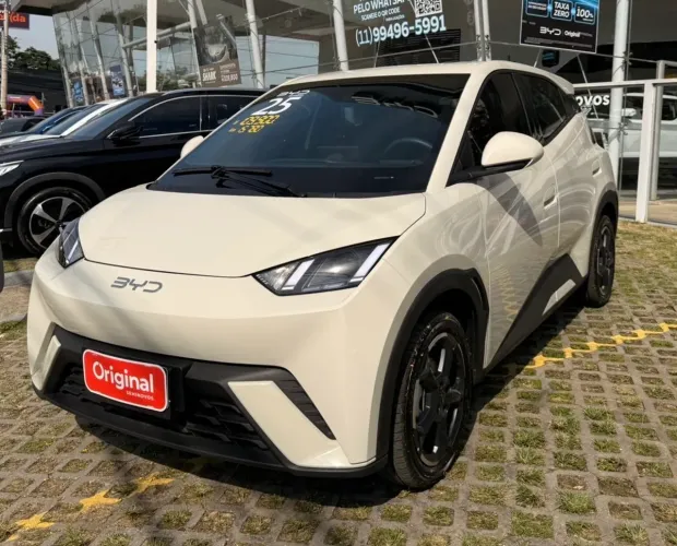 Dolphin Mini (Elétrico) 2025