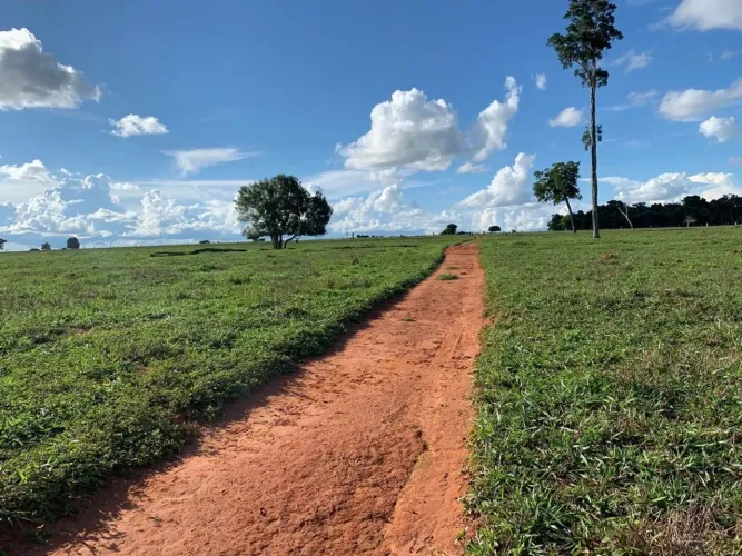 Fazenda 404 ha em Gaúcha do Norte-MT