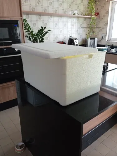 Caixa Térmica 60 litros (isopor)
