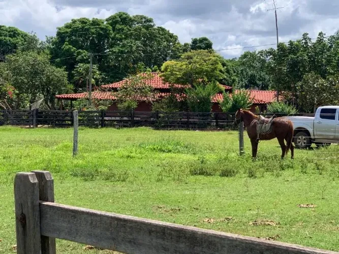 Fazenda, 100 alqueires, Mimoso de Goiás