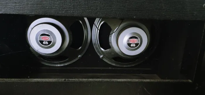 Amplificador Laney LV300