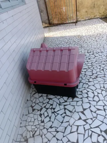 Casa de cachorro N 5 