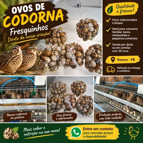 Ovos de Codorna