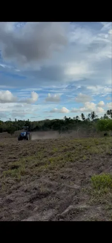 Propriedade com 10 tarefas de terra tapera Itaporanga 