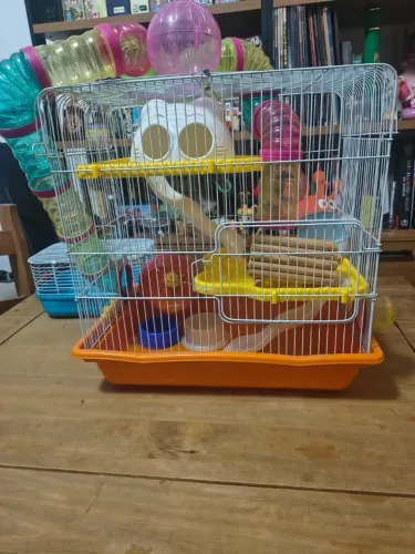 Gaiola de hamster Safari + caixa transportadora