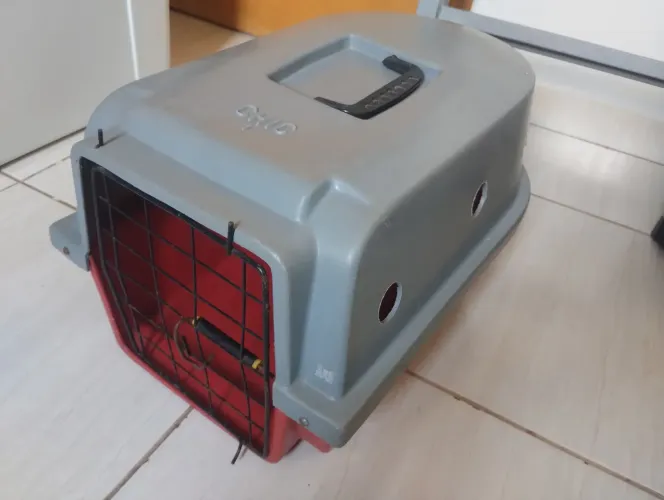 Caixa para transporte de pet