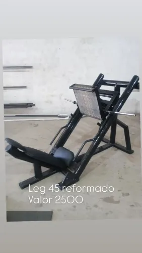 Leg 45