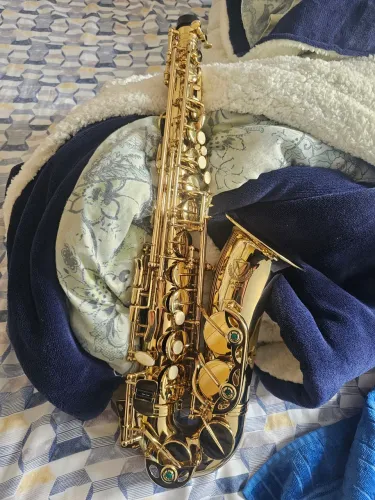 Sax alto Eagle 501