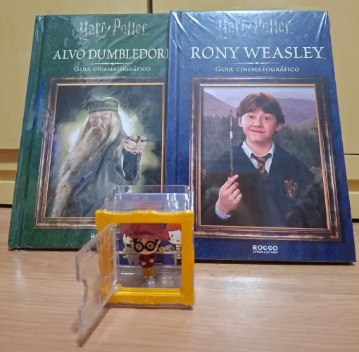 Livros Harry Potter e Boneco coleção
