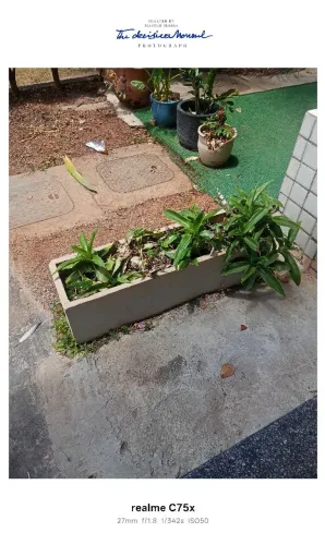 Jardineiras plantadas