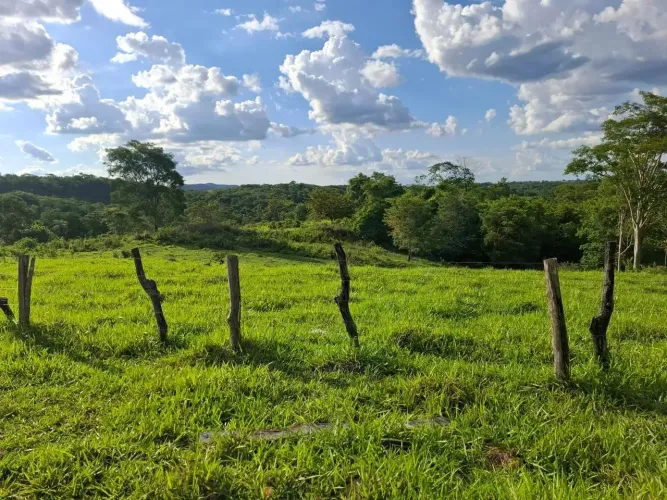 Fazendinha 25 hectares ( 5 alqueires) em Pirinopolis- GO