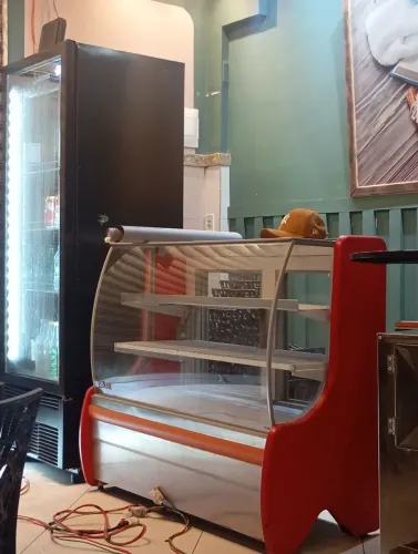 Vendo freezer. Troca de motor