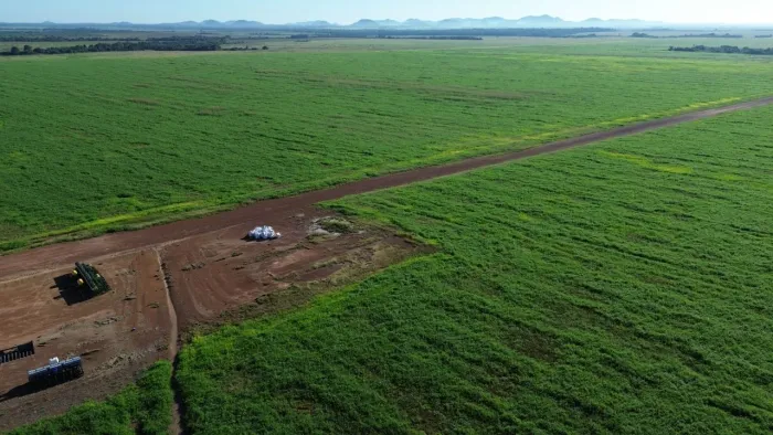 Fazenda de arrendamento 8.200 hec sendo 5.800 já planta