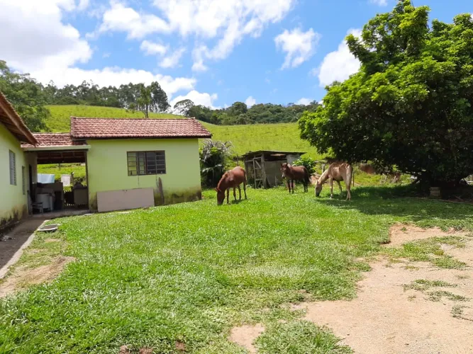 Sítio 10 Alqueires Ótima área para Gado, Eucalipto ou Pinus Casa Sede boa e galpão simples