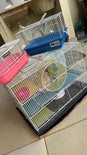 Vendo 3 gaiola de hamster 