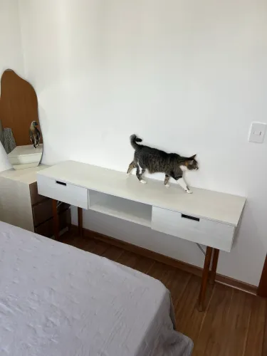 Móvel versátil em MDF cinza claro com 2 gavetas - sala, quarto ou escritório