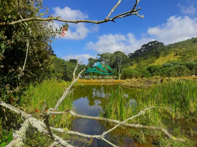 Vale das Águas | Terreno/Lote à Venda com 20.000m² por R$ 330.000