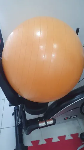 Bola de exercícios + suporte parede Valor: 150,00