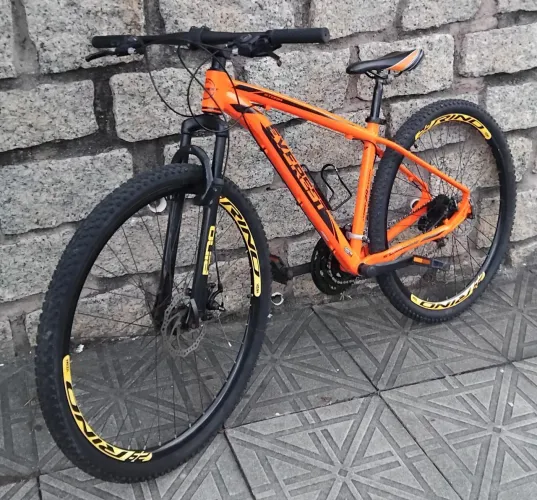 Bicicleta 29